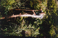 erna
