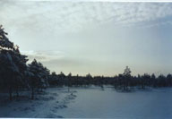 jaanuar2003